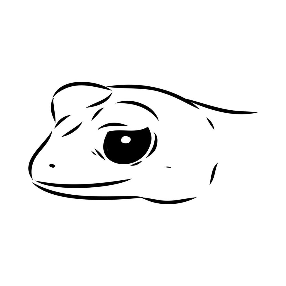 Australian gecko head sketch vector