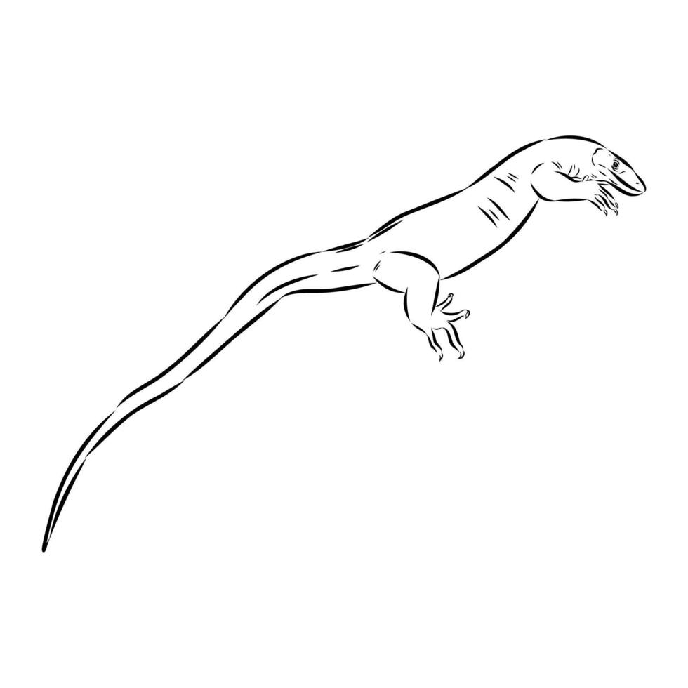 wood monitor lizard drawing vector