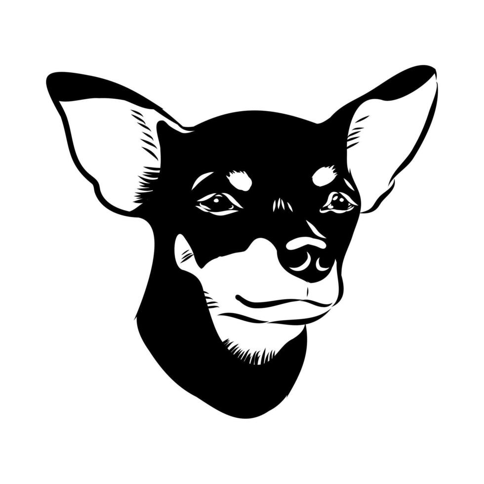 the head of a small elegant Toy Terrier dog vector