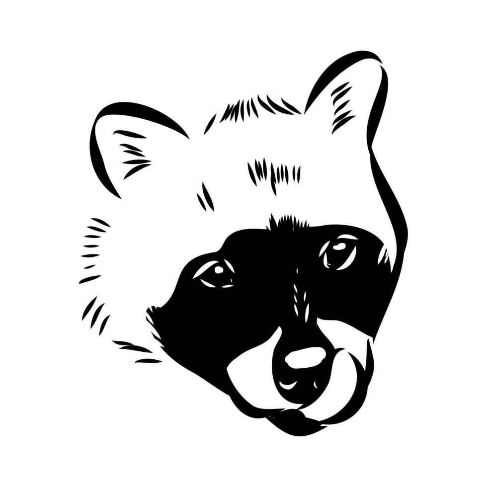 The head of a tropical civet cat sketch vector