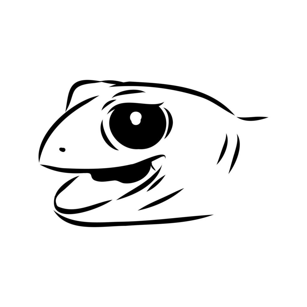 Australian thick-tailed gecko head drawing vector