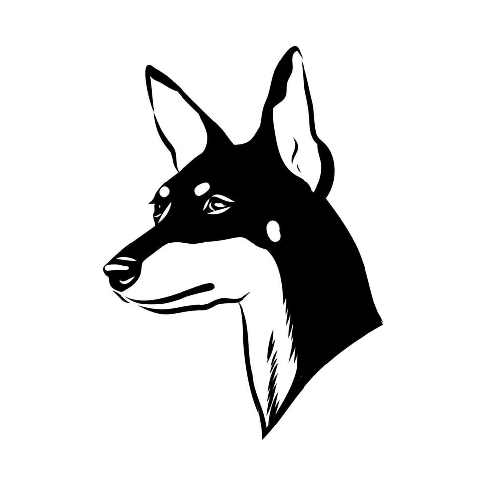 the head of a small elegant English Toy Terrier dog vector