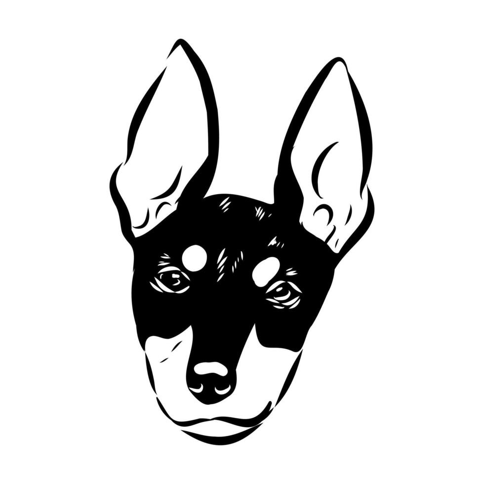 The head of a small English Toy Terrier dog drawing vector