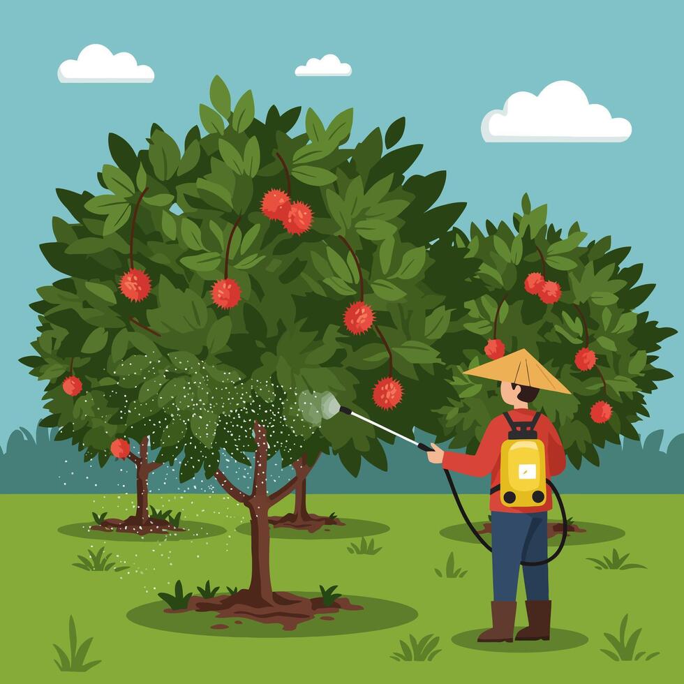 Spraying Fruit Trees in Orchard with Sprayer Wearing Hat and Boots vector