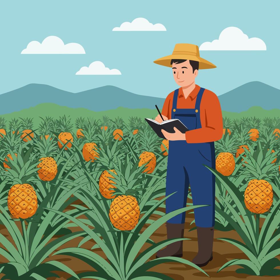 Farmer Inspecting Pineapple Crop Writing Notes in Field Illustration vector