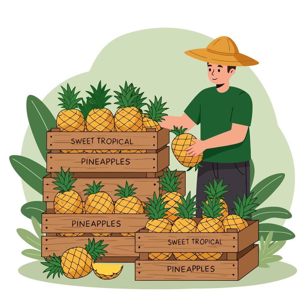 Man Holding Pineapple Near Crates Filled with Tropical Fruits for Sale vector