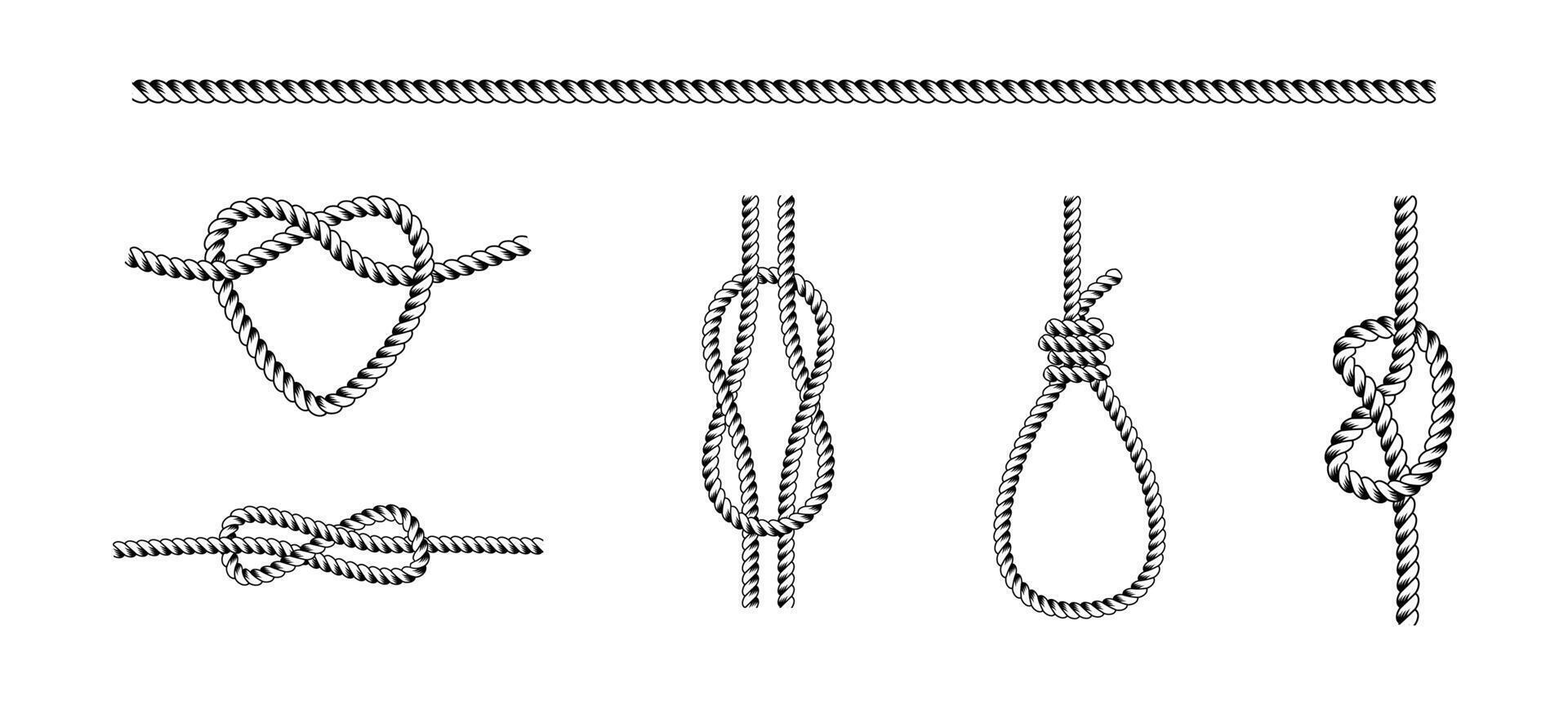 Rope Knots and Twists Illustration Set vector