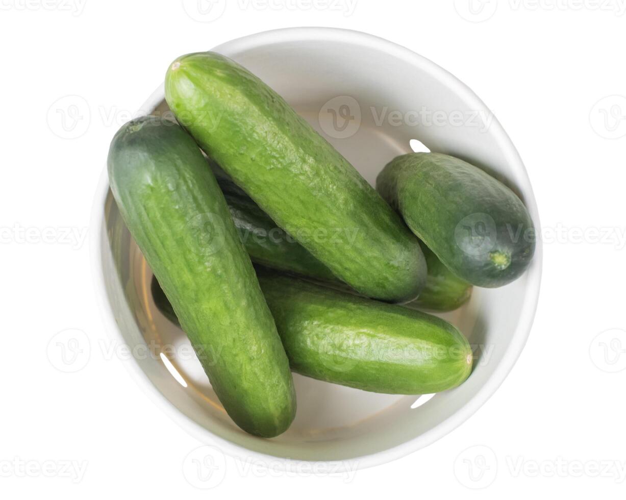 Several freshly picked cucumbers lying in white cardboard packaging, top view of fresh garden vegetables ready for culinary use isolated on white background, photo
