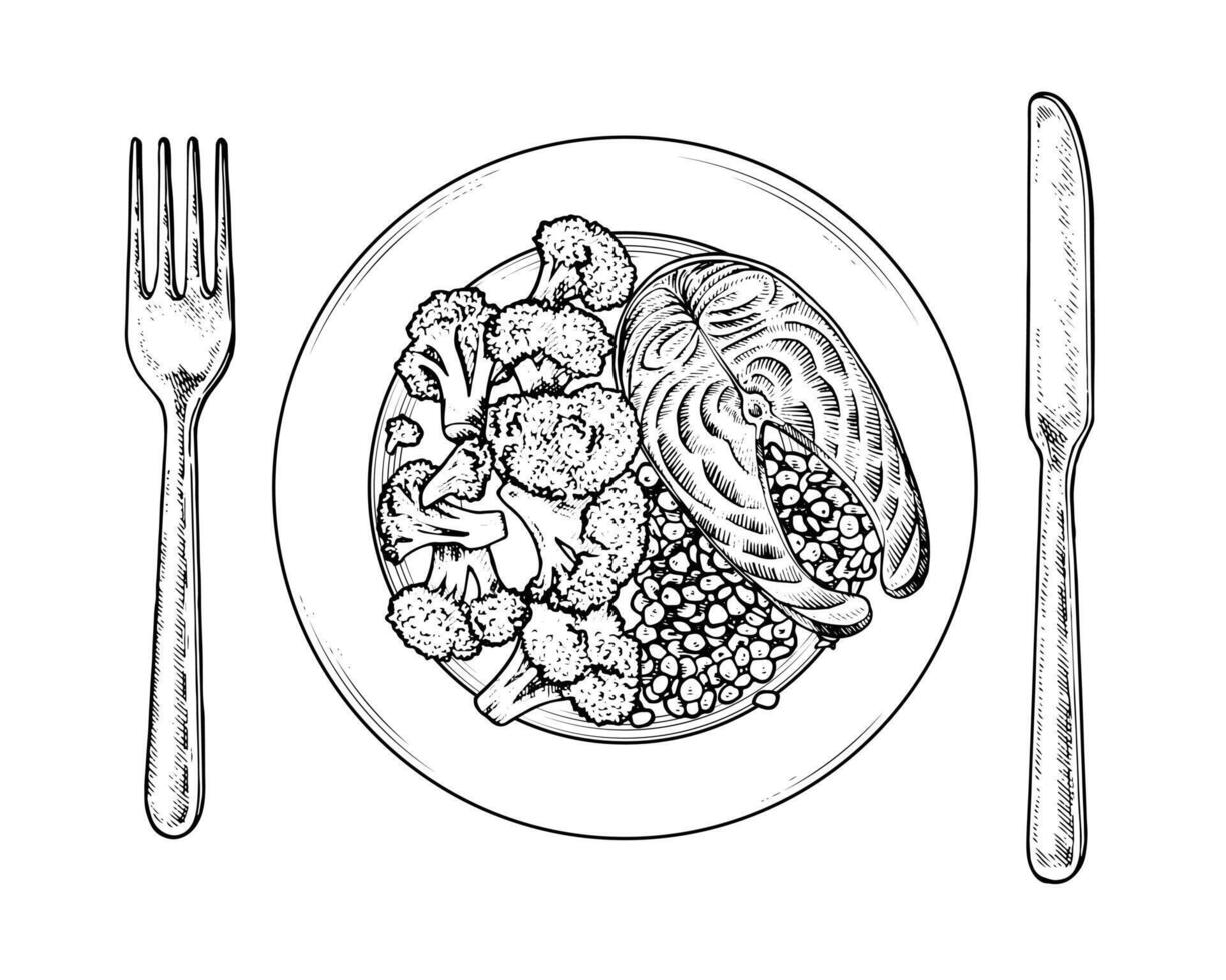 Hand drawn illustration of a balanced plate rule for healthy eating. Black and white top view sketch showing proper portions of proteins, fats, carbohydrates, and fiber. Isolated background vector