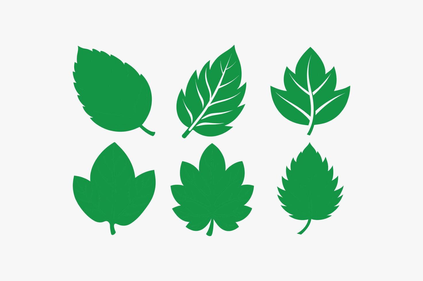 Green leave set on white background vector