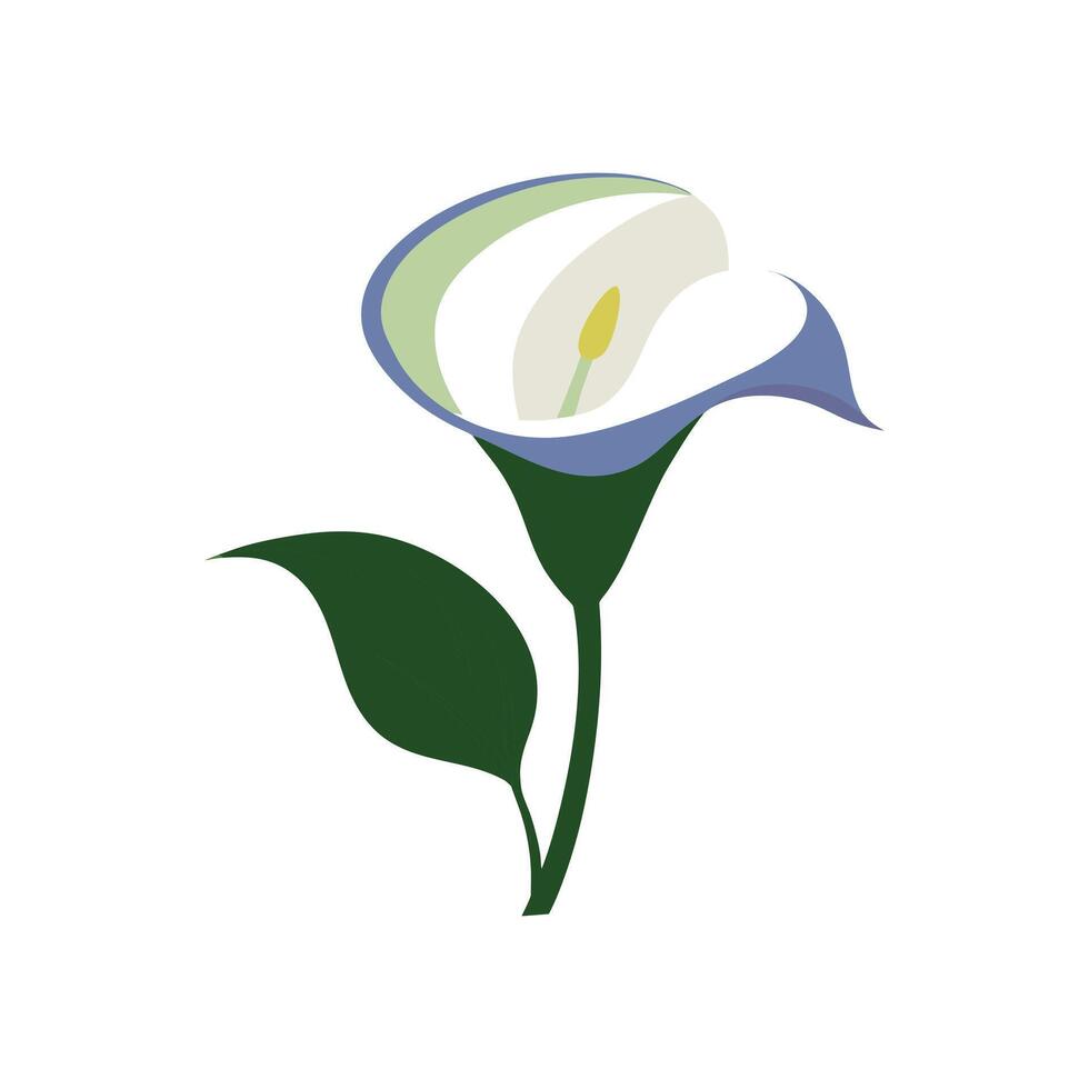 Bellflower Illustration on White Background Elegant Botanical Floral Design vector