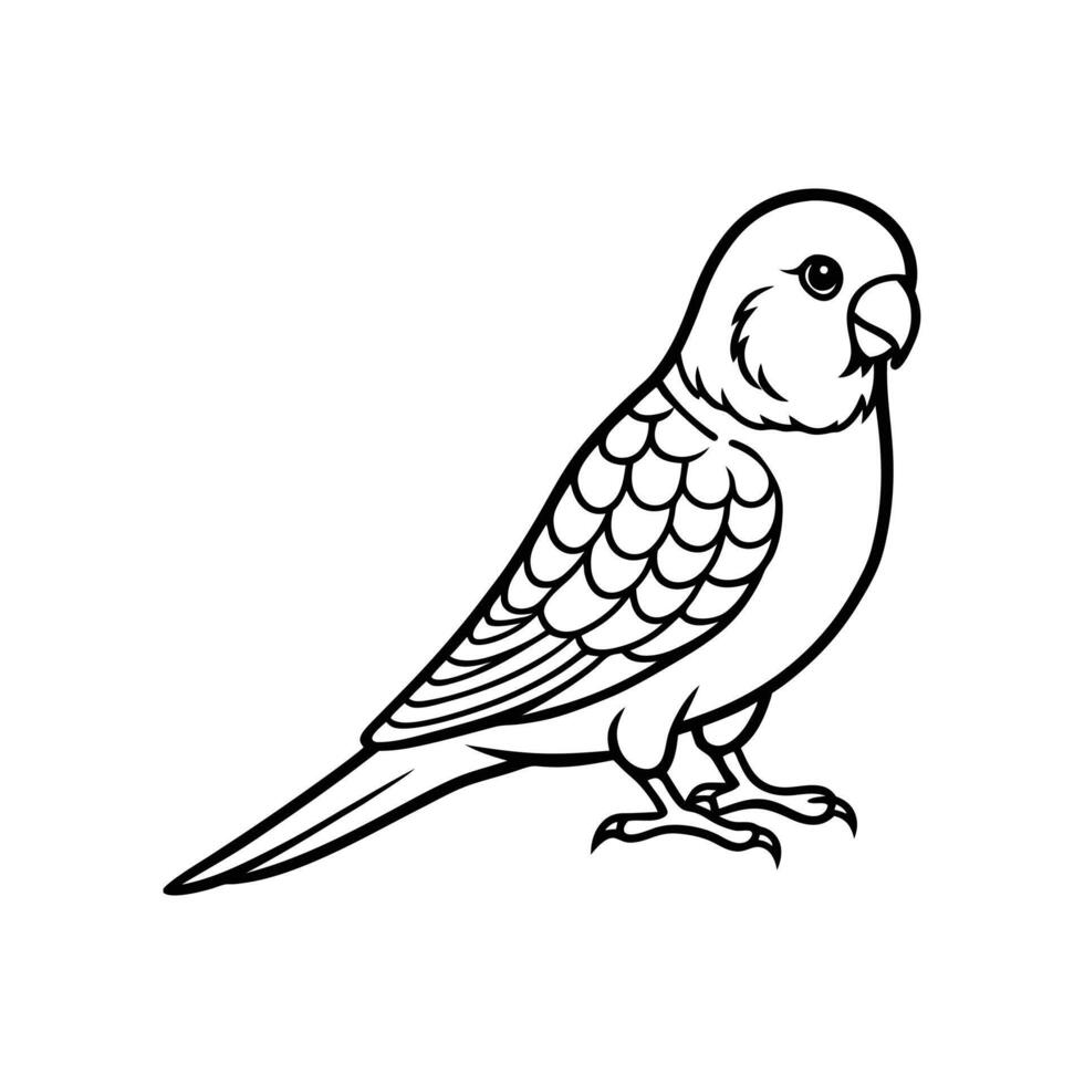 Budgerigar on White Background Colorful Pet Parakeet Illustration vector