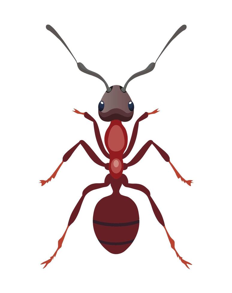 brown pretty and cartoon ant vector