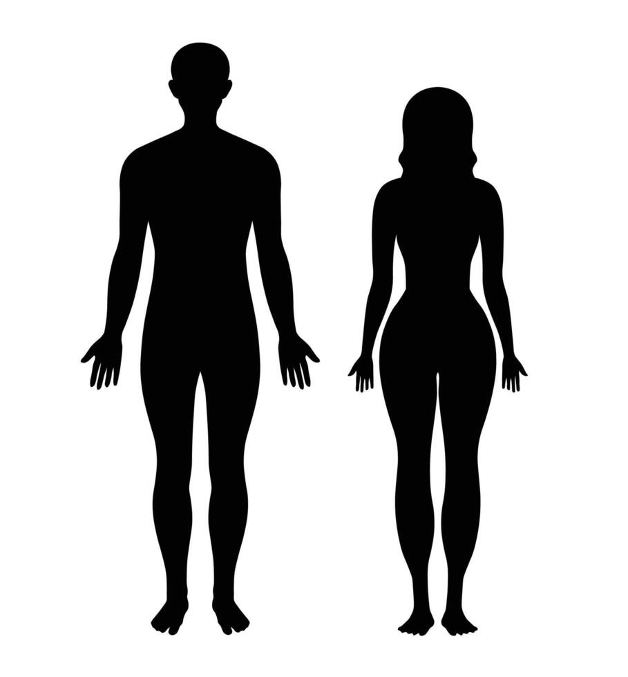 icon of Male and Female Body Silhouettes vector