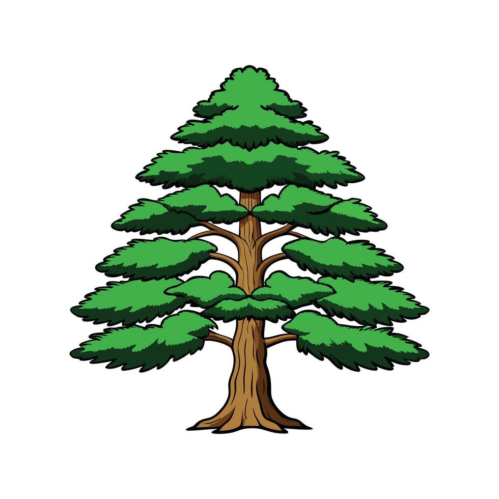 Japanese Cedar Tree Detailed Outline vector