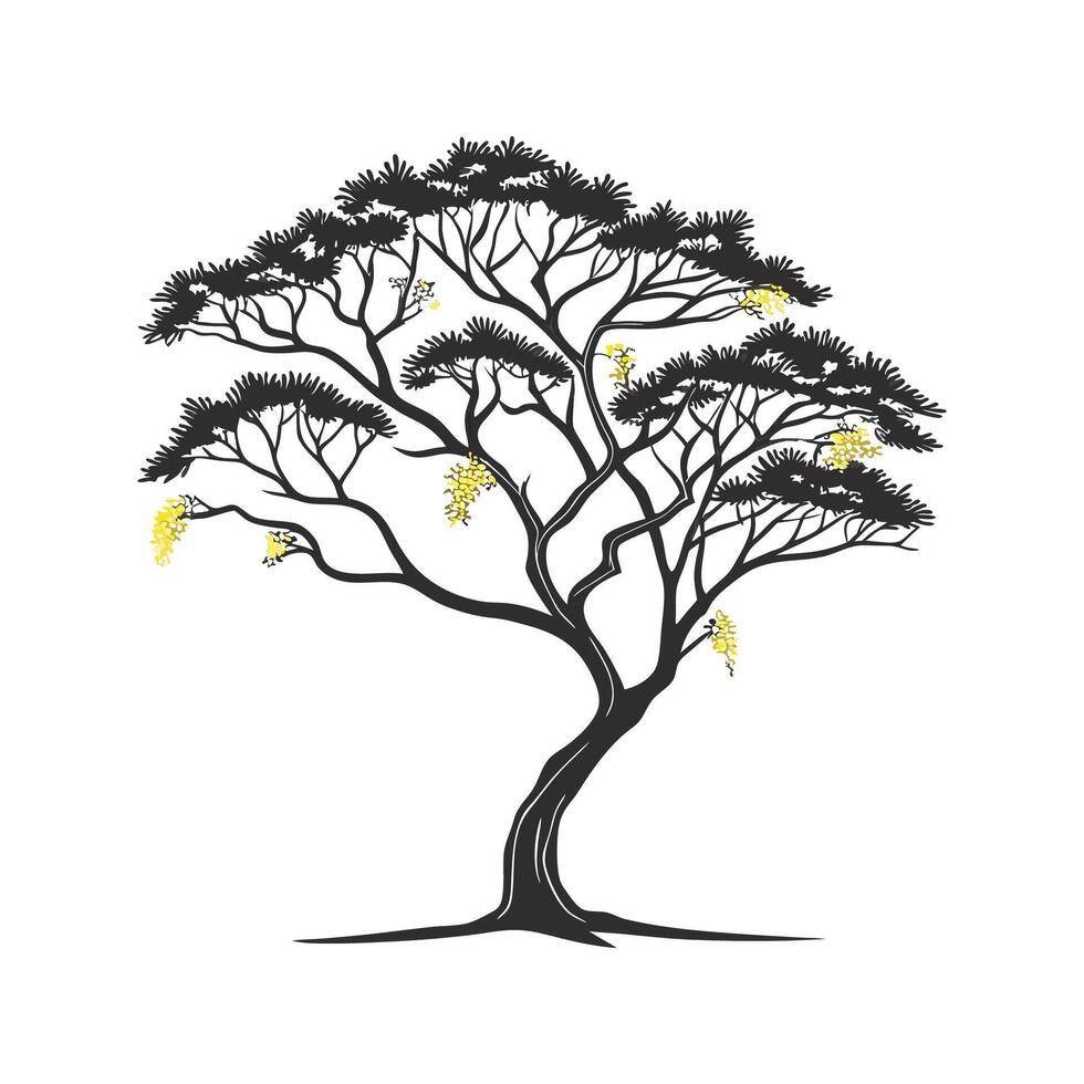 Elegant Acacia Flower on White Backdrop vector