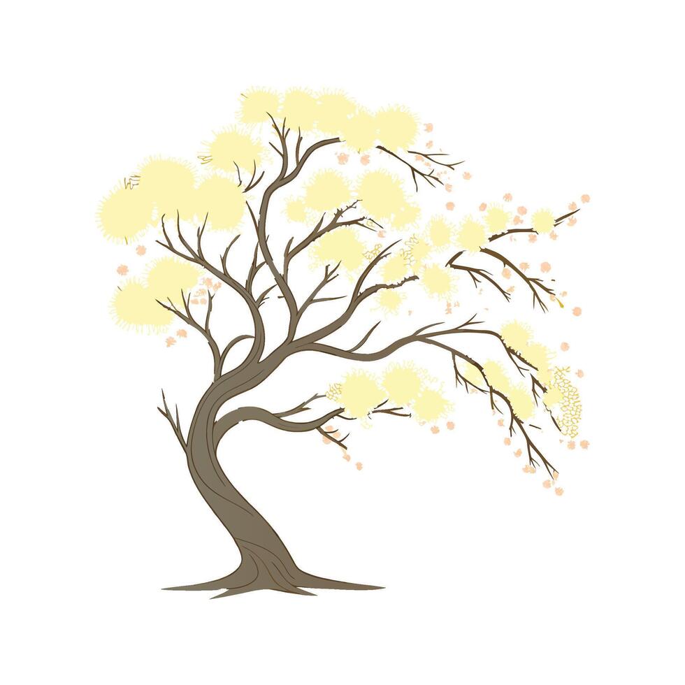 Charming Mimosa Flower on White vector