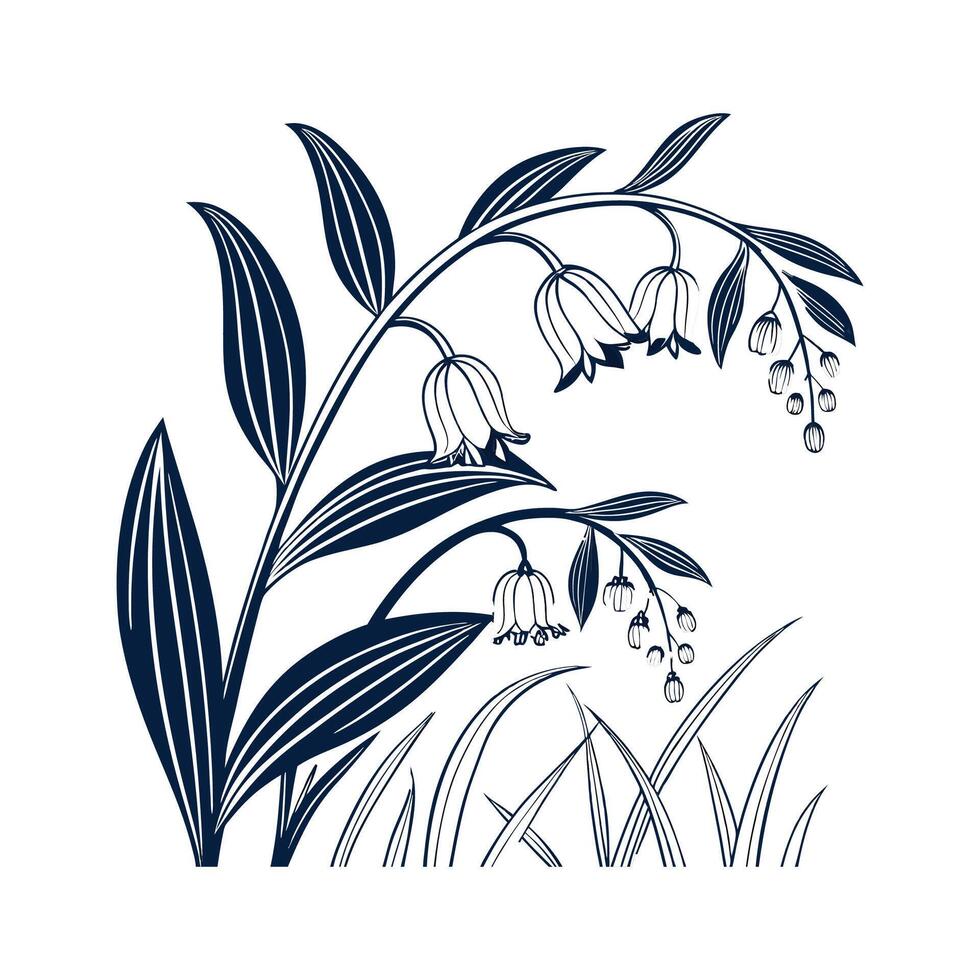 Charming Polygonatum Flower on White vector