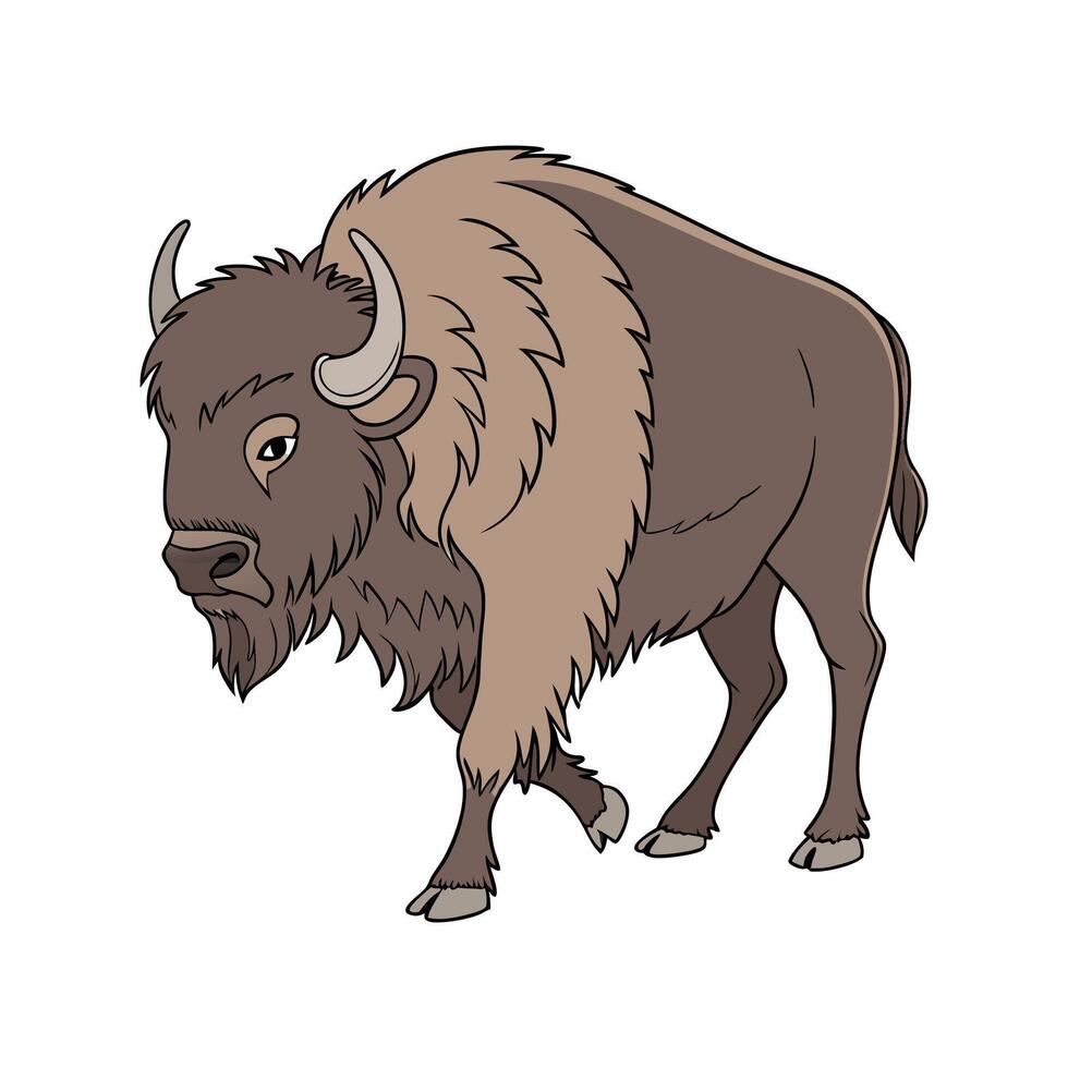Beautiful American Bison in Nature vector