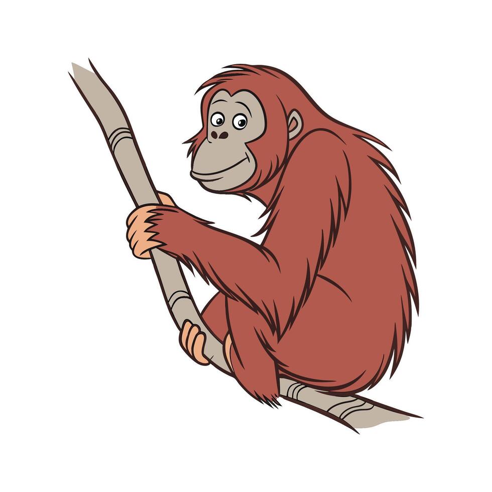 Adorable Bornean Orangutan on White vector