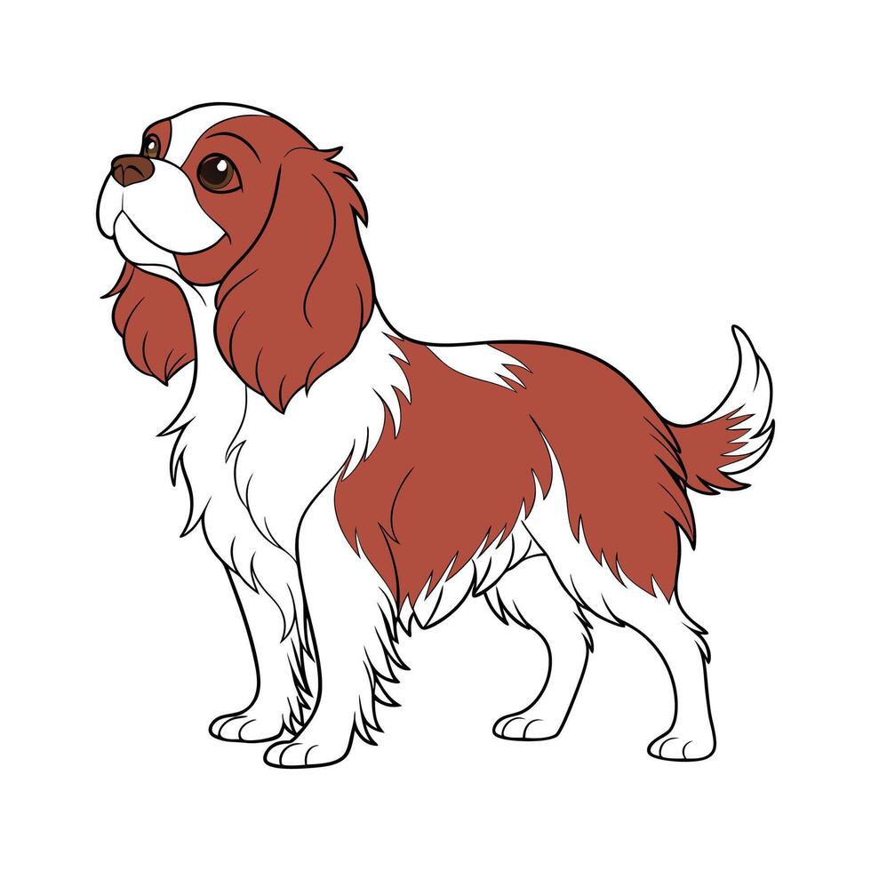 Charming Cavalier King Charles Spaniel on Clean White vector