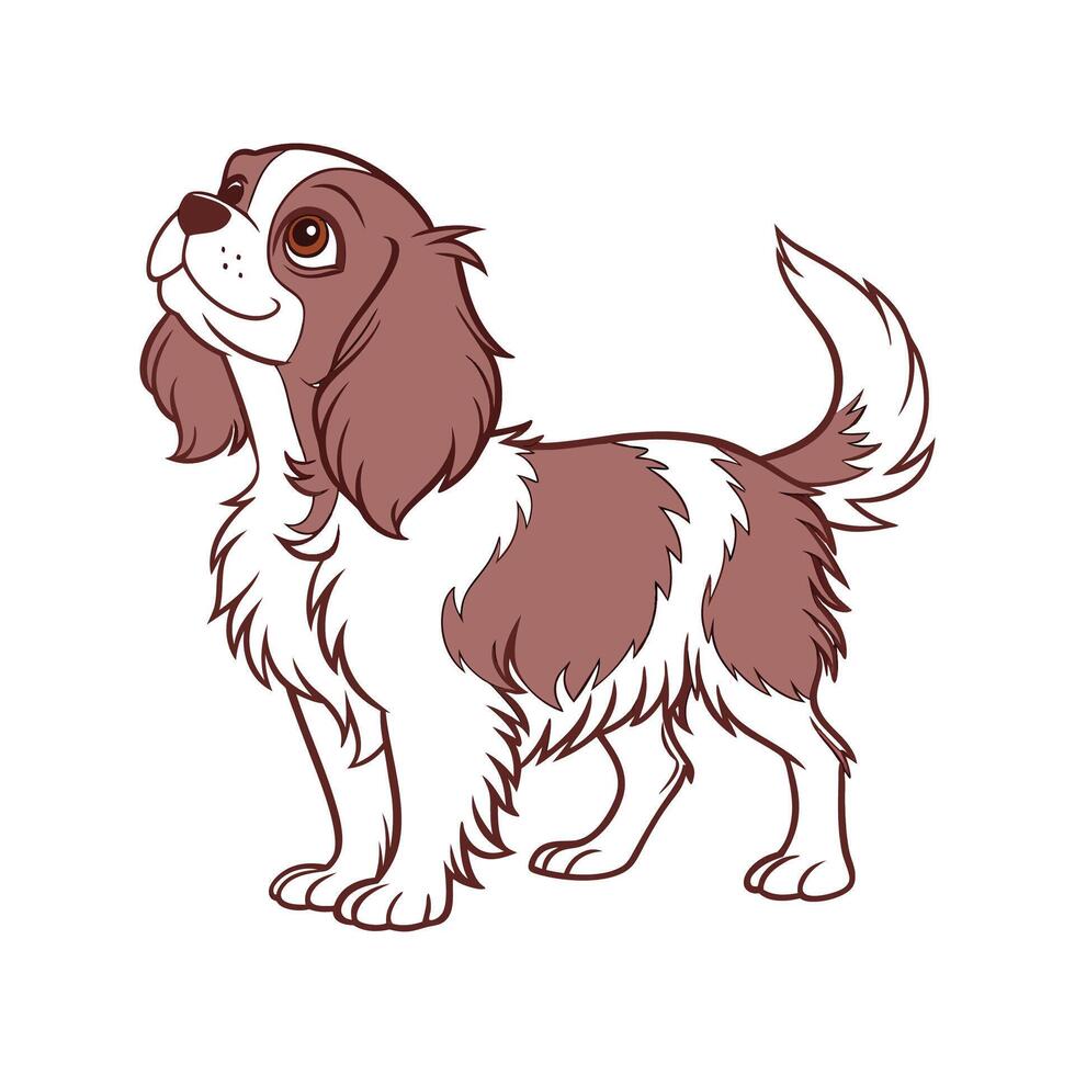 Beautiful Cavalier King Charles Spaniel on White vector