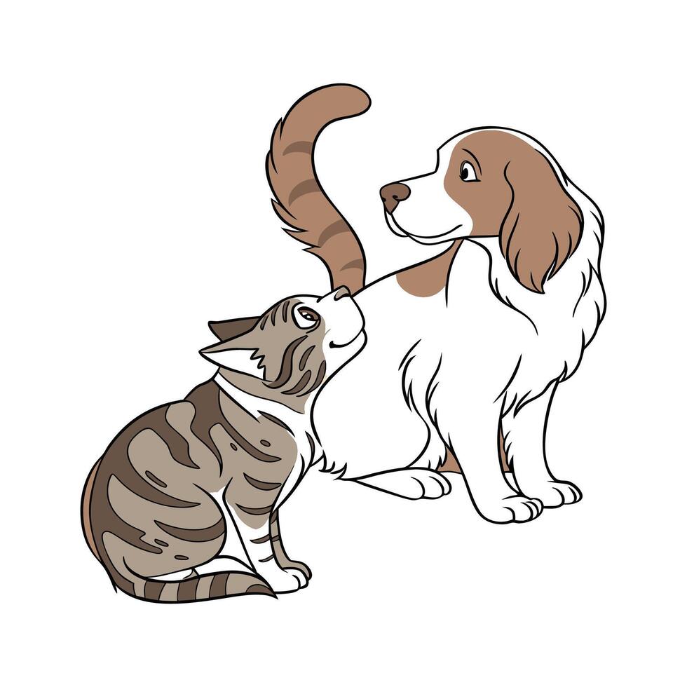 Lovely Clumber Spaniel on Clean White vector