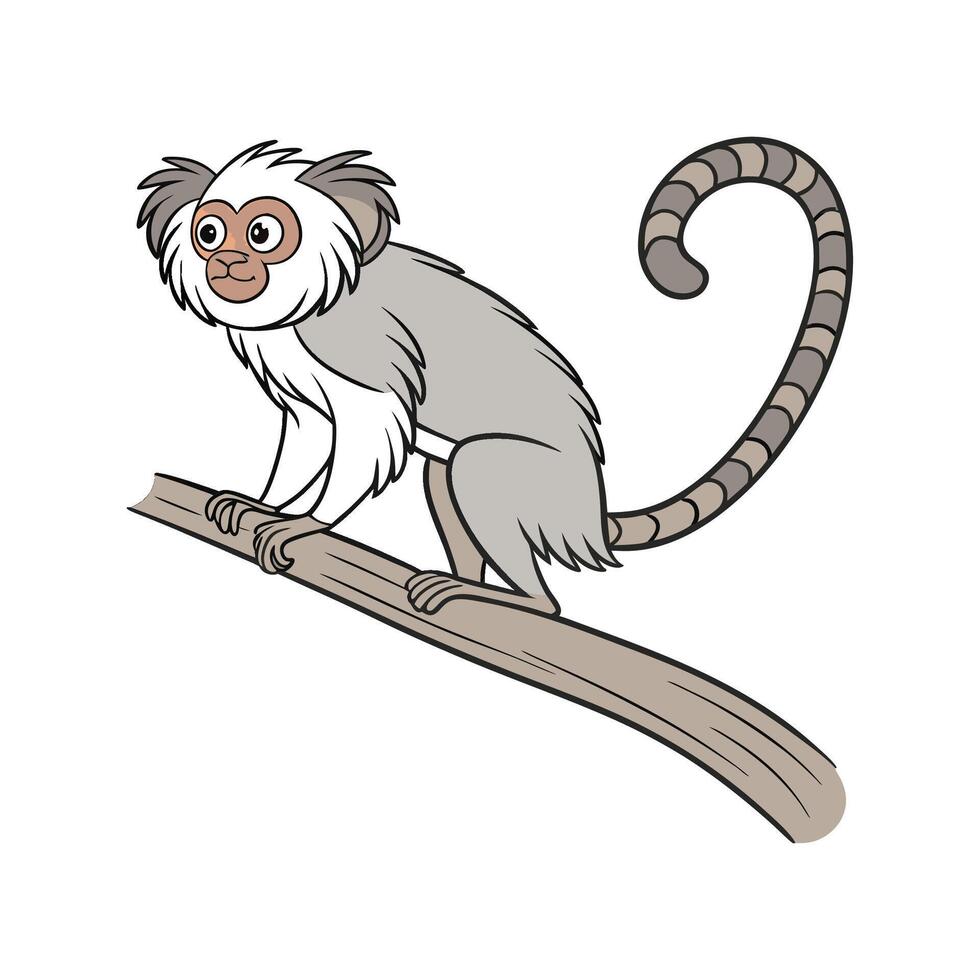 Charming Common Marmoset on Clean White vector