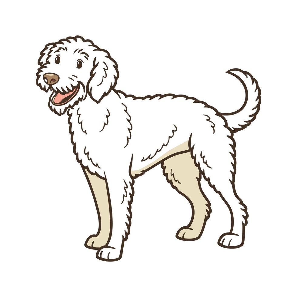 Charming Lagotto Romagnolo on White vector