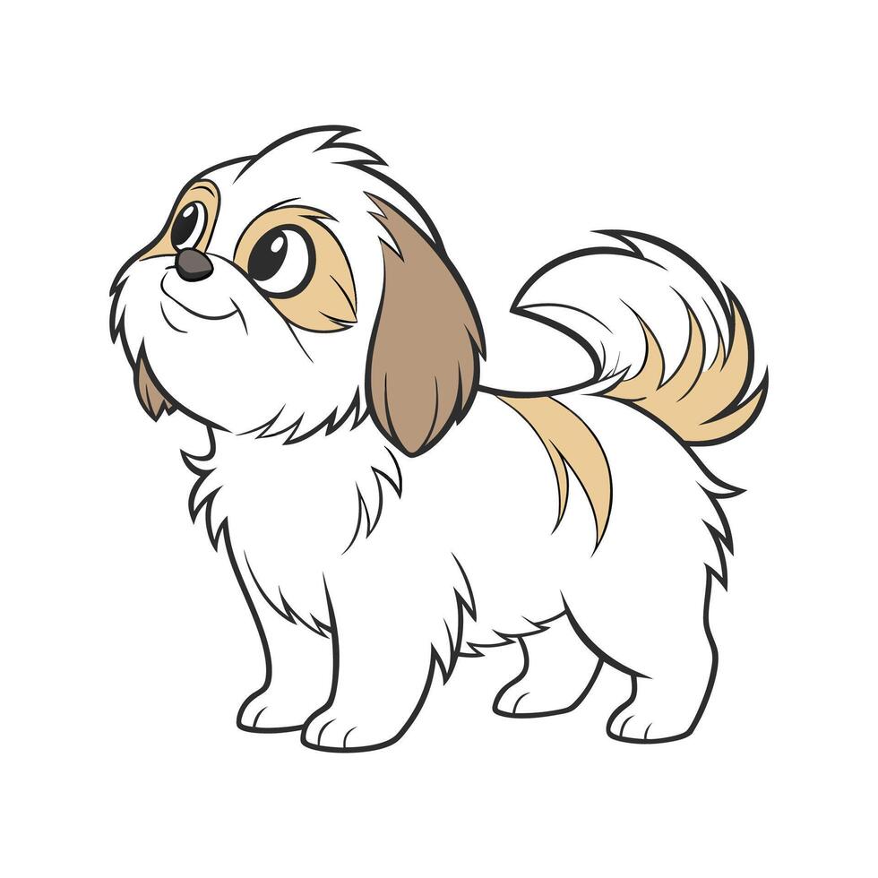 Exquisite Shih Tzu on White vector