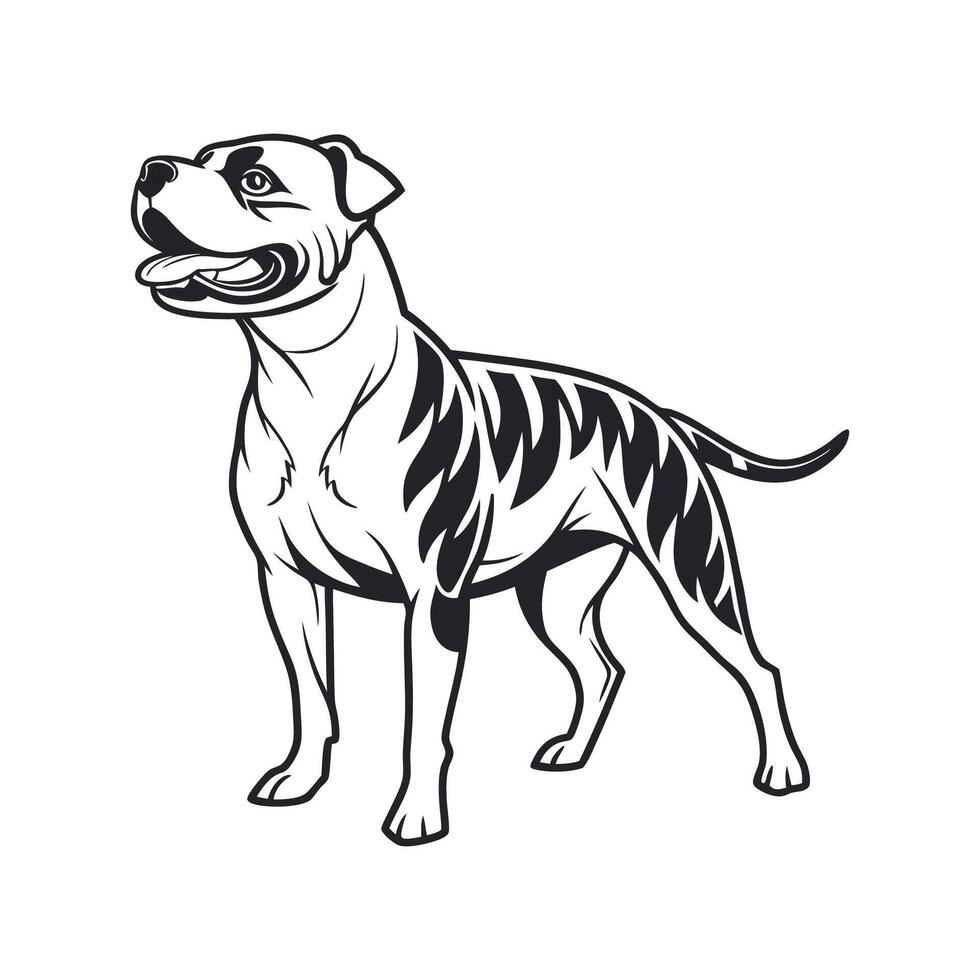 Charming Staffy Dog on White vector
