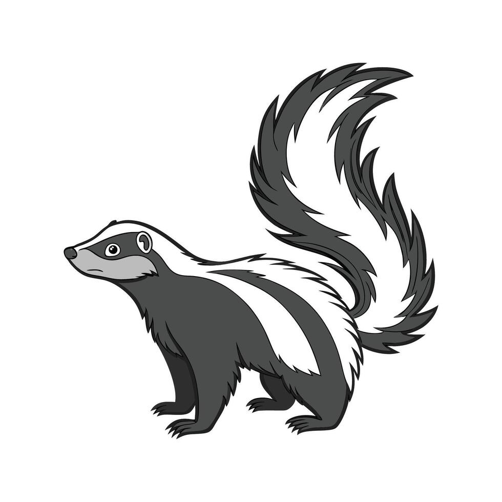 Lovely Striped Skunk on White vector