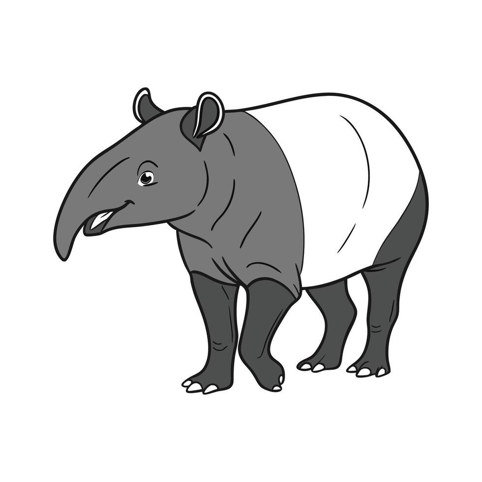 Exquisite Tapir on Clean White vector