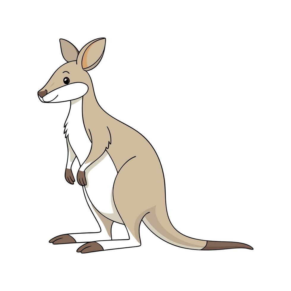 Lovely Wallaby on Clean White vector