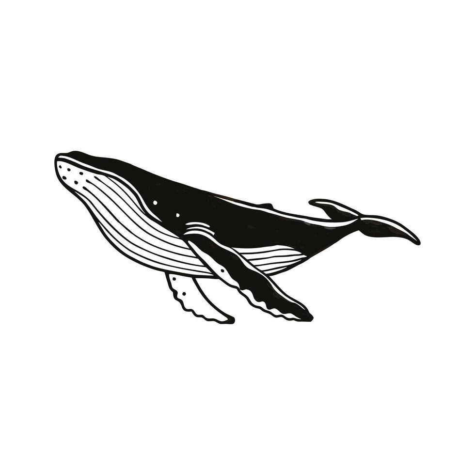 Majestic Humpback Whale on White vector