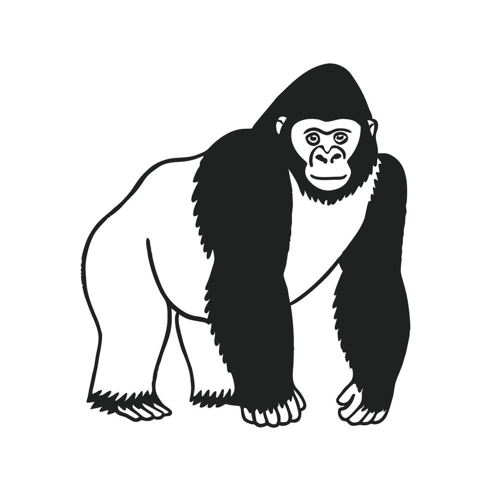 Charming Gorilla on Clean White vector