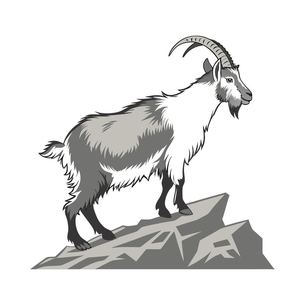 Beautiful Alpine Goat Illustration vector