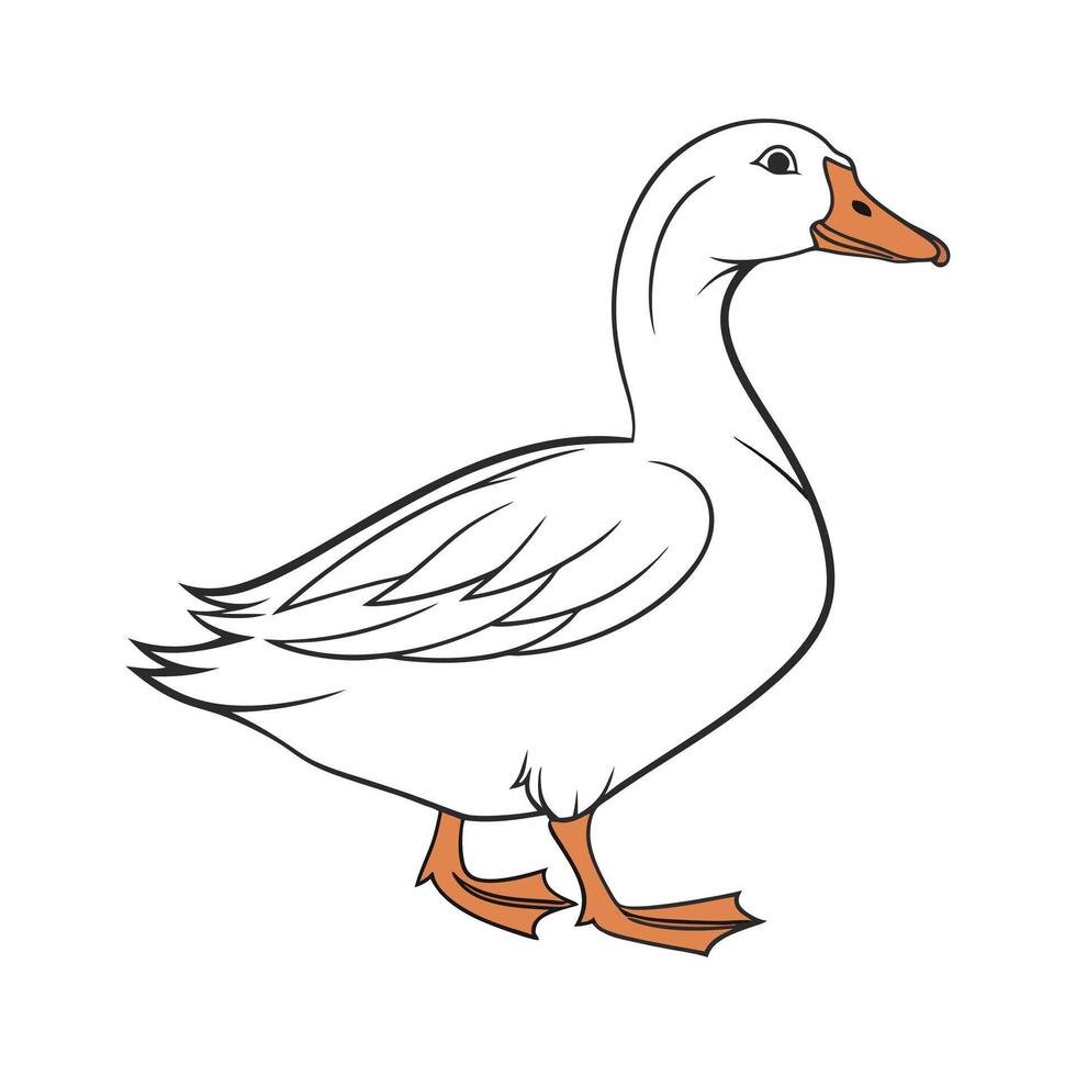 Lovely Aylesbury Duck Illustration vector