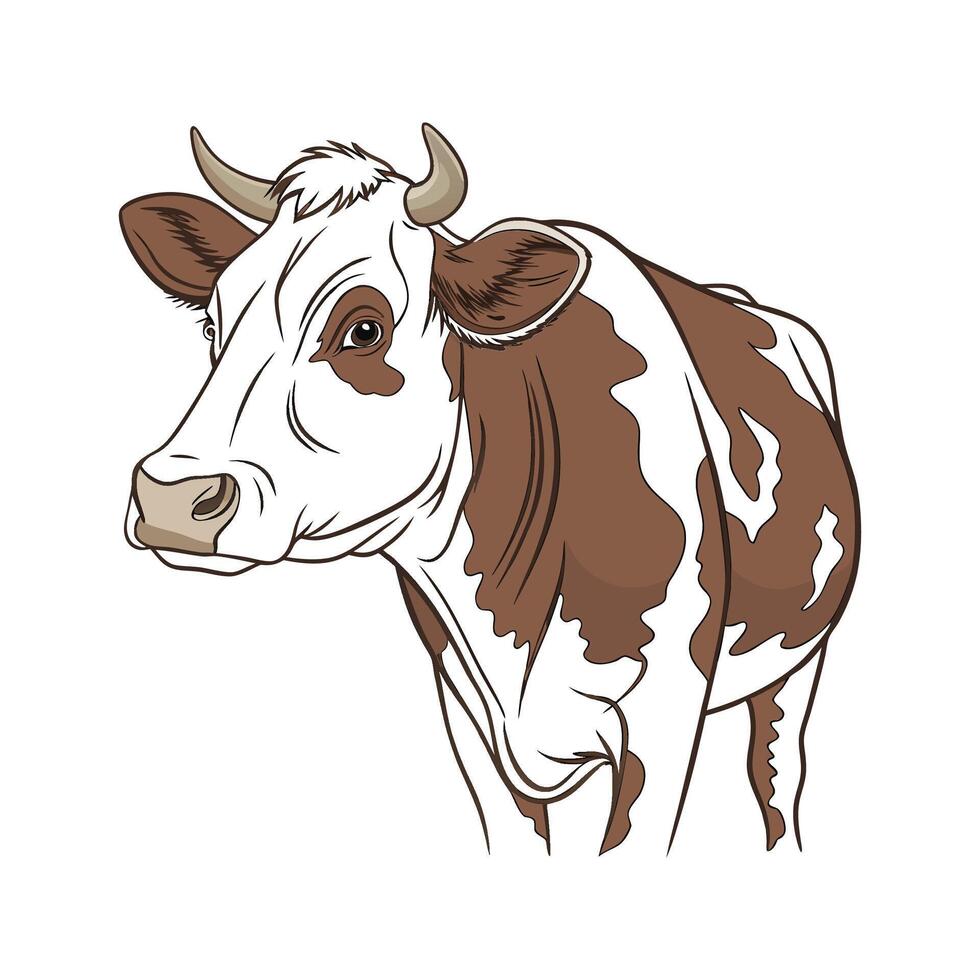 Beautiful Realistic Cow Illustration vector