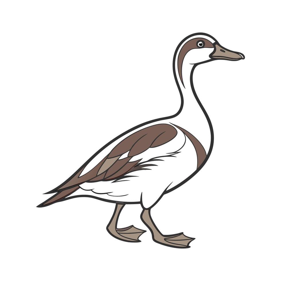Beautiful Indian Runner Duck Illustration vector