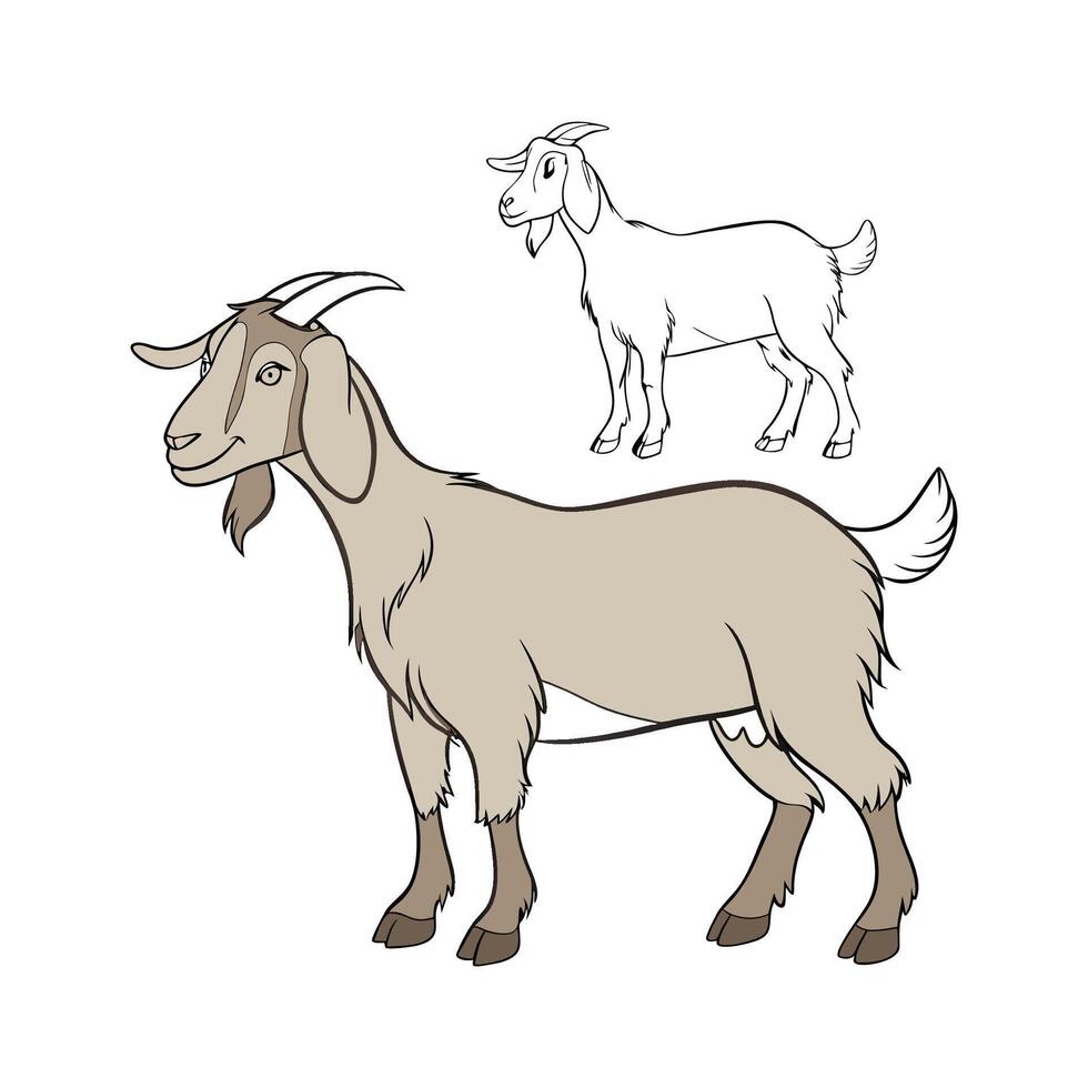 Lovely Lamancha Goat on White vector