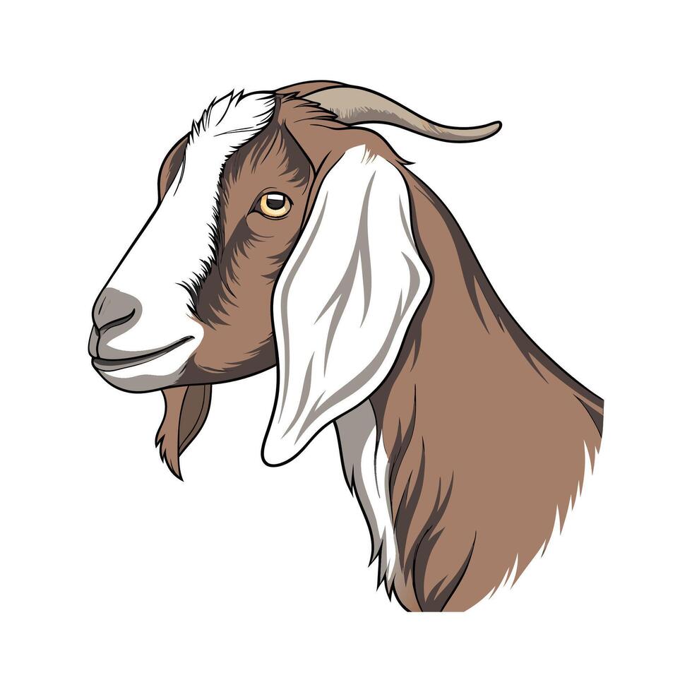 Charming Nubian Goat Illustration vector