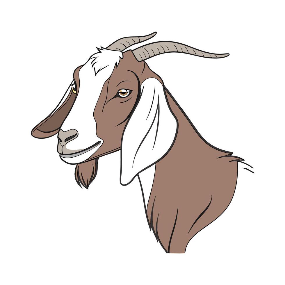 Lovely Nubian Goat on White vector