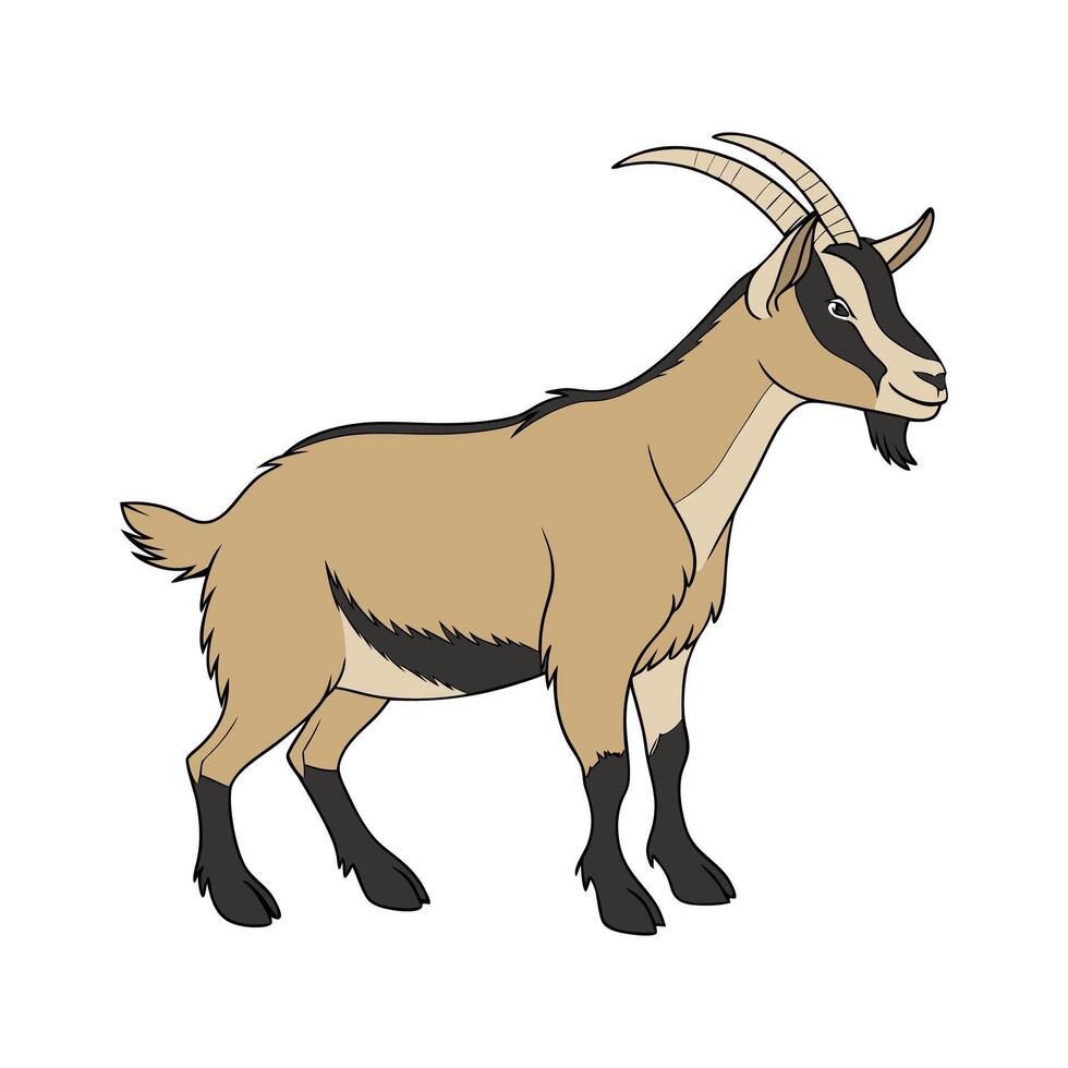 Oberhasli Goat Realistic Color Portrait vector