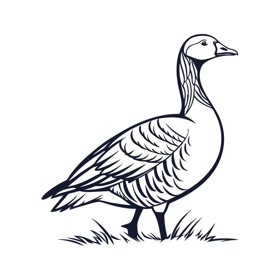 Pilgrim Goose Realistic Color Design vector