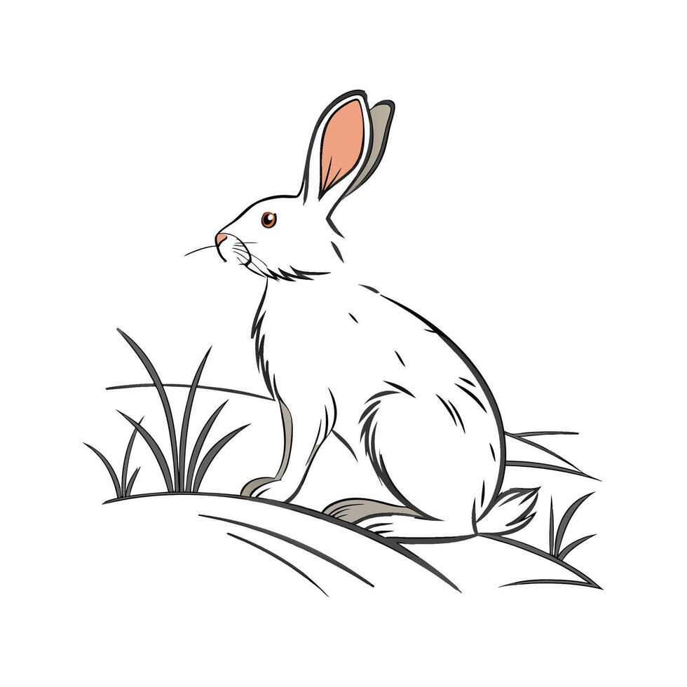 Rex Rabbit Realistic Color Portrait vector