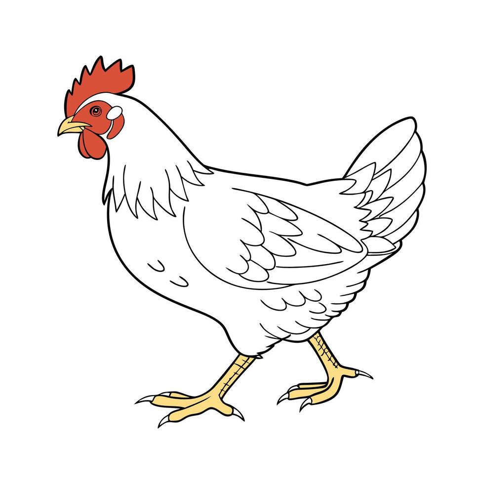 Rhode Island Red Chicken Realistic Color Art vector