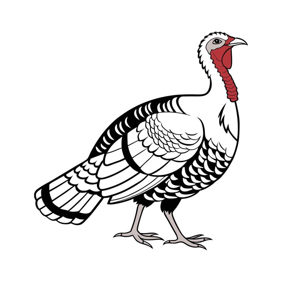 Royal Palm Turkey Realistic Color Portrait vector