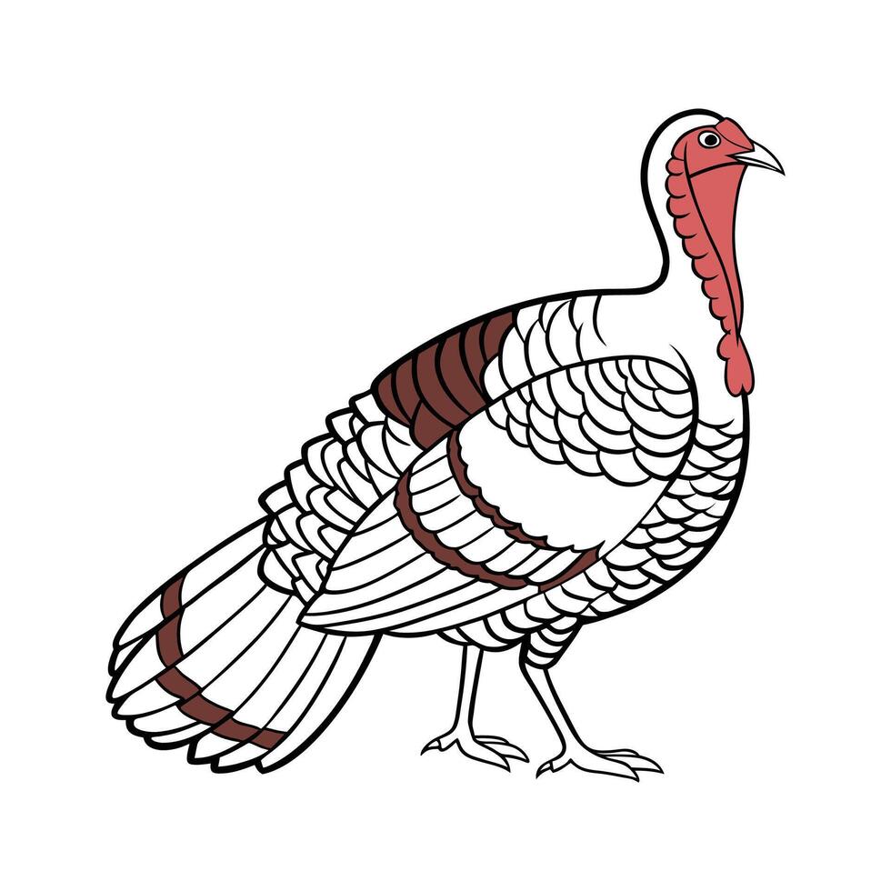 Realistic Color Illustration of Royal Palm Turkey vector