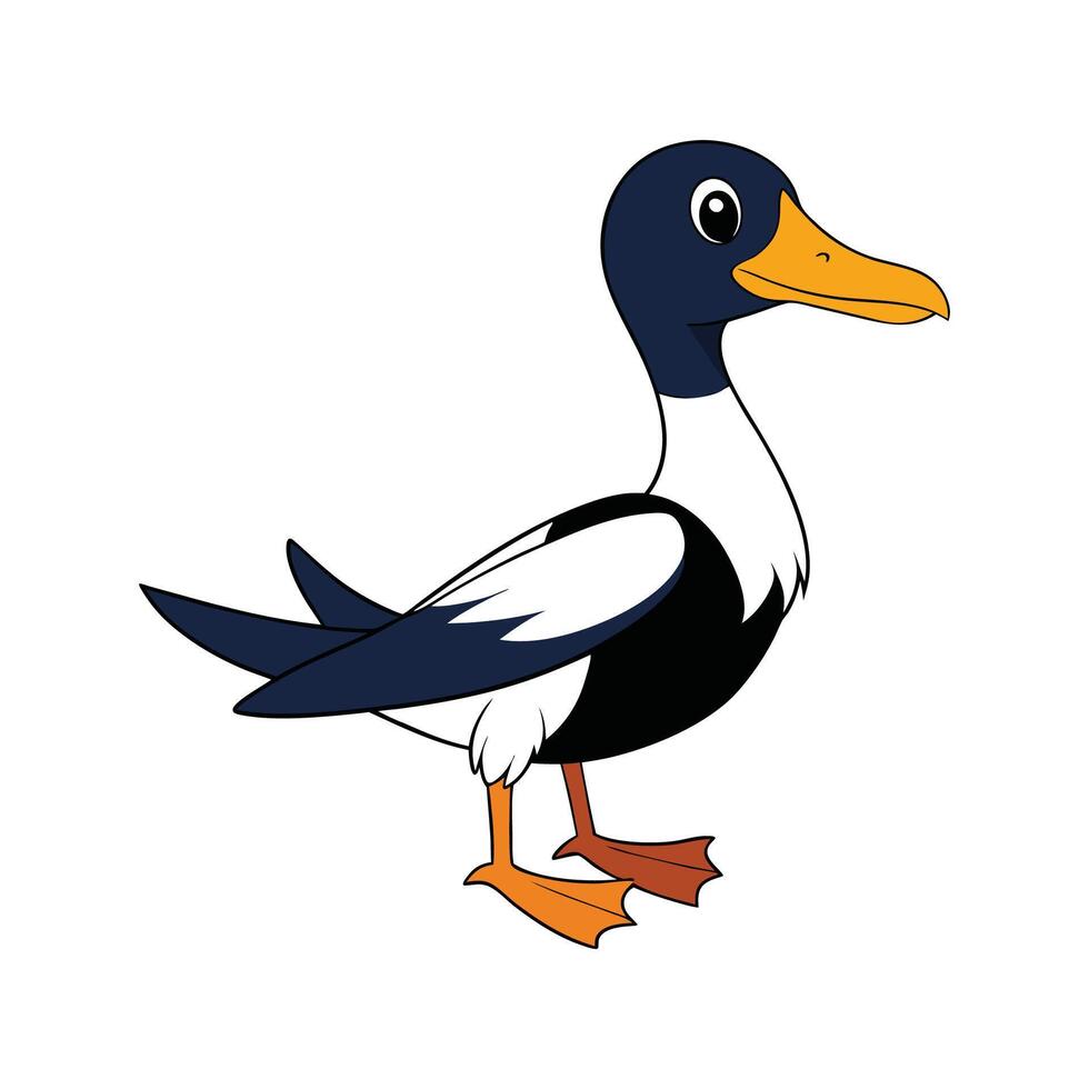 Realistic Magpie Duck Color Illustration vector